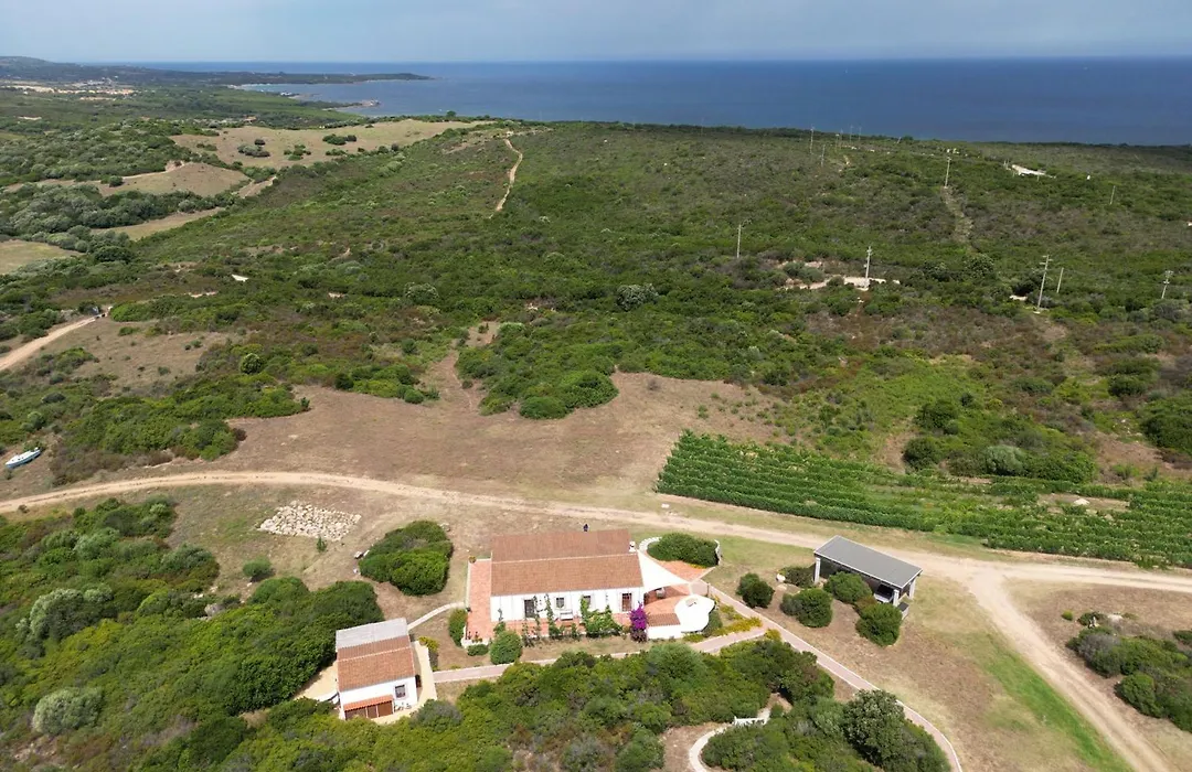 Villamarina-1